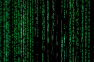 De cand cu pandemia COVID-19 pana si hotii s-au mutat online
