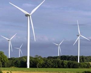 Google si Microsoft investesc in energie eoliana