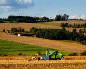 Agricultura ecologica: Ajutoarele de minimis se platesc din 2 decembrie