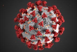 Pe fondul unei profunde inechitati in asigurarea distributiei mijloacelor de lupta impotriva noului coronavirus si a mutatiilor acestuia, pandemia continua sa faca ravagii