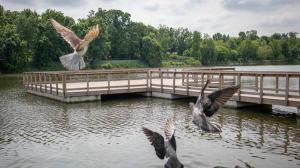 Traseul turistic al lacurilor Floreasca-Tei poate fi parcurs cu bicicleta, pietonal si nautic