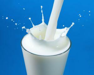 Peste 60% din fermele de vaci vor fi inchise, dupa eliminarea cotei de lapte