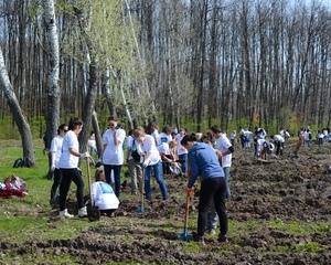 Enel si MaiMultVerde au plantat 4.000 de copaci in Parcul Natural Comana