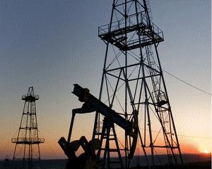 Mariana Gheorghe, Petrom: Romania nu este un El Dorado pentru industria de petrol si gaze