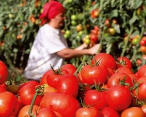 Cursuri gratuite de acreditare in productia de conserve din fructe si legume si de antreprenoriat, pentru femeile fara venituri