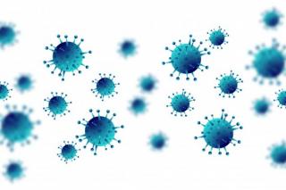 Proiect: Rata de incidenta a infectiilor Covid - calculata dupa noi indicatori