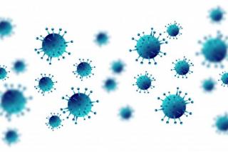 Proiect: Rata de incidenta a infectiilor Covid - calculata dupa noi indicatori