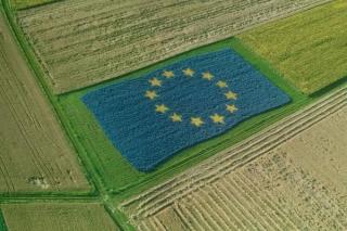 A inceput recensamantul General Agricol. Costa 320 de milioane de lei, din care echivalentul de 4 milioane de euro vine de la Eurostat