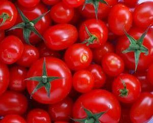 Mai mult timp pentru vanzarea tomatelor obtinute in sere si solarii