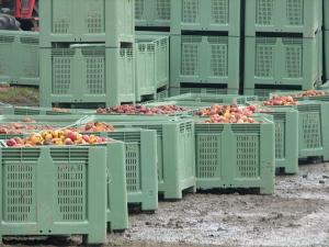 Boxpaletii din plastic solutiile perfecte pantru afacerile industriale