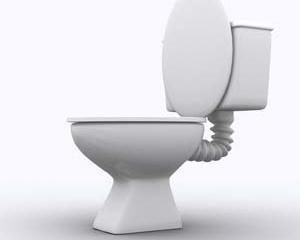Ziua Mondiala a Toaletei scoate la iveala problemele 