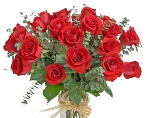 Trandafirii rosii, florile preferate ale romanilor